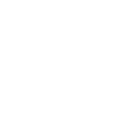 CL_Icon_Security
